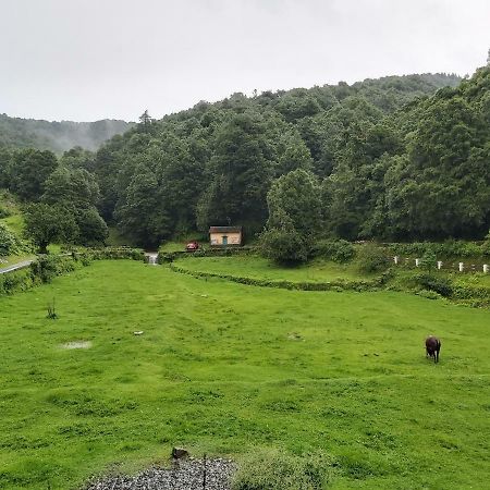 Simba Cafe & Lodge Бинсар Экстерьер фото